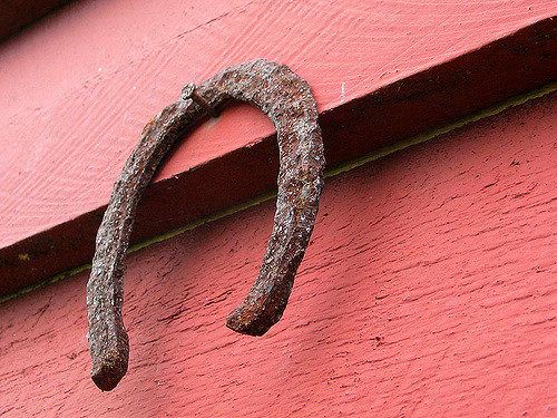 horseshoe